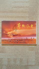 加勒比巡航
